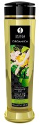 Olejek do masażu Shunga zielona herbata – aromatyczny olejek do masażu dla par (240 ml)