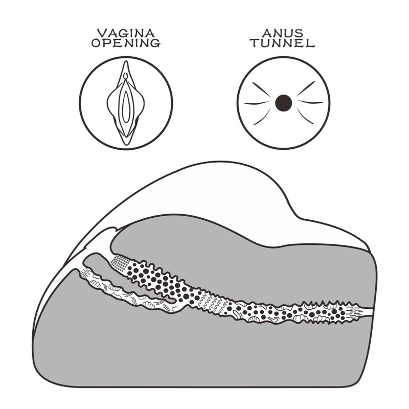 LoveToy Street Girl 3 Sztuczna pochwa i odbyt masturbator męski