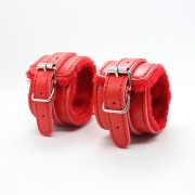Fetish B-Series BDSM kit 5.0
