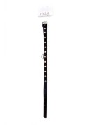 Fetish B - Series - Collar 2 cm silver crystal