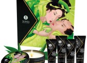 Shunga Geisha's Secret Kit Zielona Herbata - zestaw do masażu i gier miłosnych